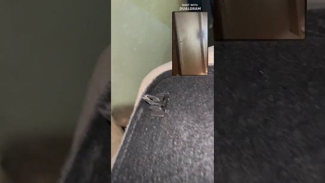 Домашний Стилист
