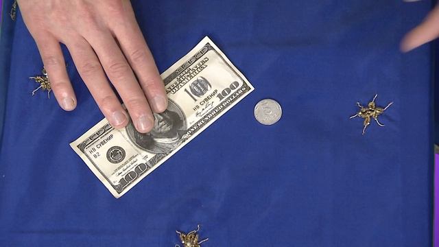 Секреты фокусов