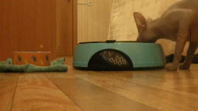 9536944b8e8d871aa2f8ba8fc50b2f16