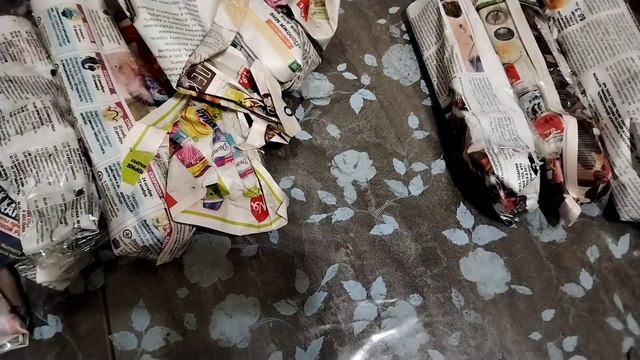 Распаковки: бегонии, плектрантусы, фитонии.