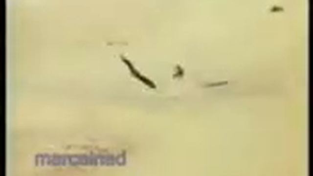 Гитарные танцы