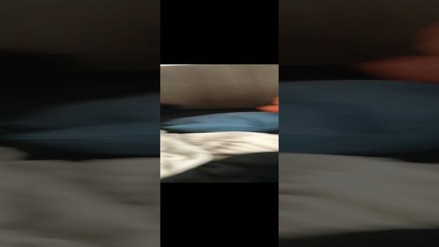 2c0d9276ec2d2e039443faf95fb4ad50