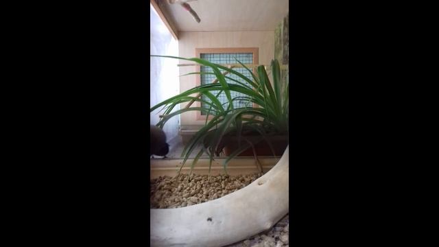 Ab9125c90da11d3622746b96d983f6a5