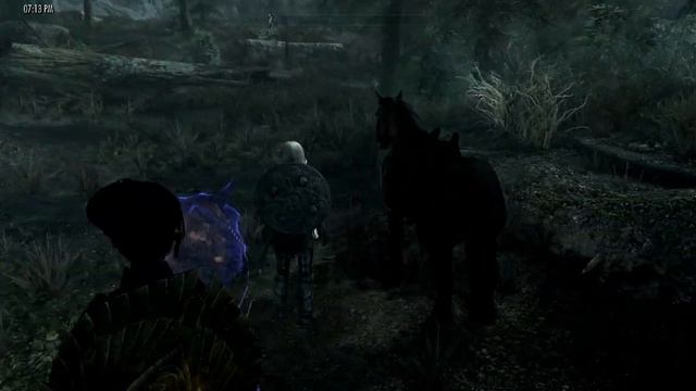 In Skyrim SE 095 Jordis And Ambriel; Talos, Elyndra And Valyen