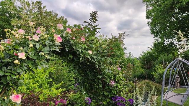 Summer 2022 @Topika00