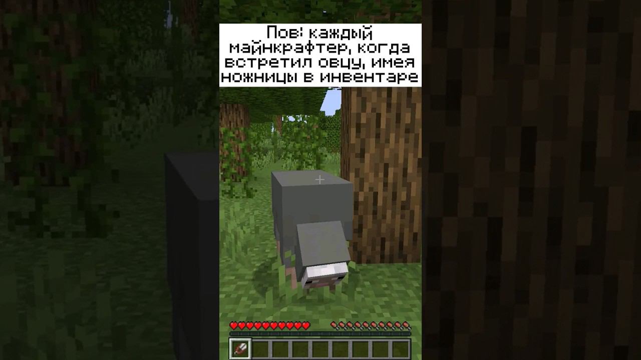 Пов: встретил овцу, имея ножницы