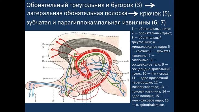 C3542066e562f633dc40b76e54482999