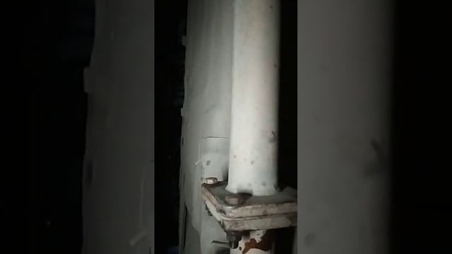 Hyundai: магия движения и стиля