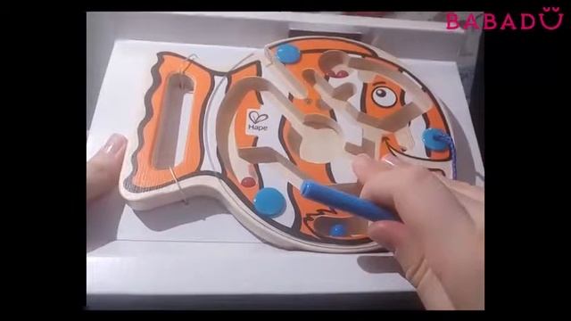 Рыбка-лабиринт Hape