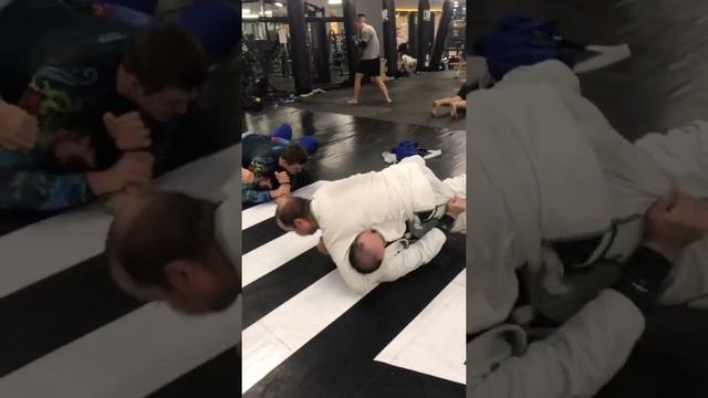 сентябрь 2021 джиу джитсу