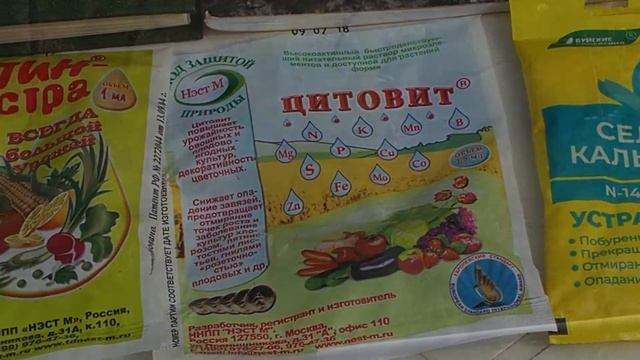 Ботанический квартирник. Выпуск № 27. Подкормка и полив садовых растений осенью