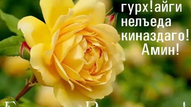 Поздравляю всех Мусульмане