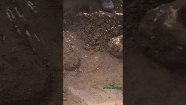 Ba145715518d45c1ba427a92509d5044