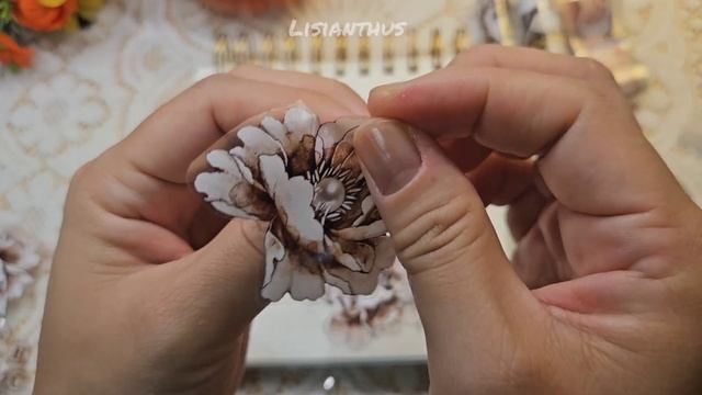 F966ae6304e52e3dc89e120556d23a53