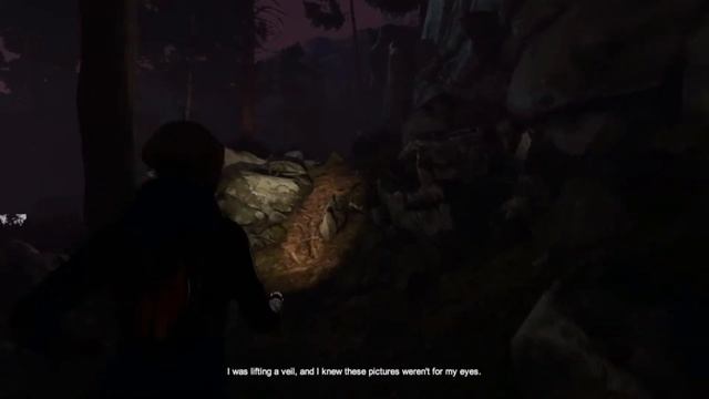 Let Go Walking (Through The Wood) Part 2