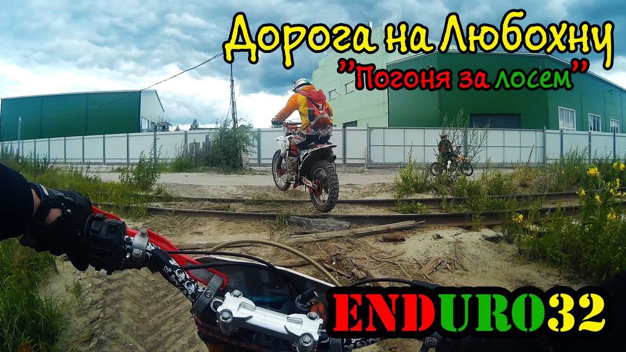 Эндурим в Любохну. Погоня за лосем  The pursuit of the elk