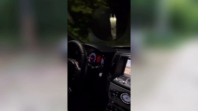 Бой с тенью