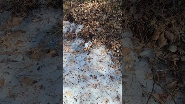 АБАРА БЕС БЕЗ ЦЕРКВИ!? #ЦЕРКОВНЫЙ БЕС. Александр Пичуев