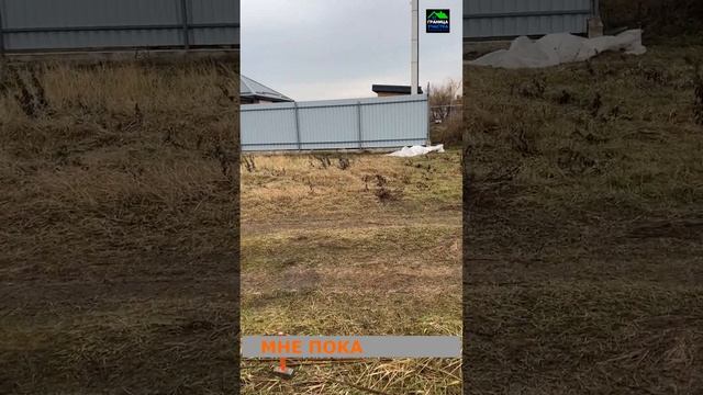 Кадастр Вынос точек