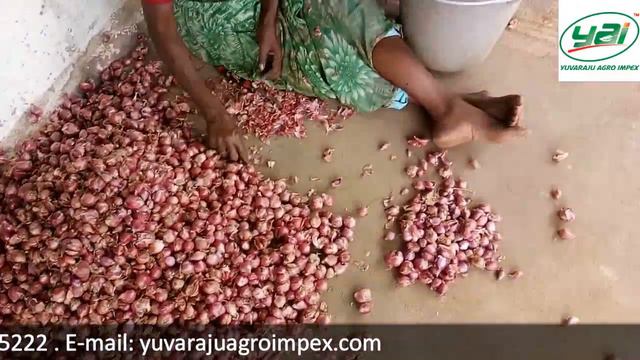 Red Shallot [small Onion] Export - Packing Video | Allium Cepa Var. Aggregatum