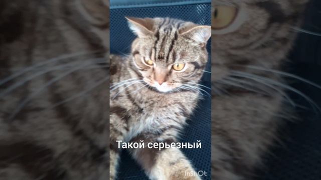 Такой_серьезный
