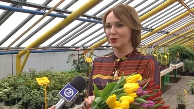 «Могилевзеленстрой» подготовил порядка 22 тысяч цветов 07 03 2018