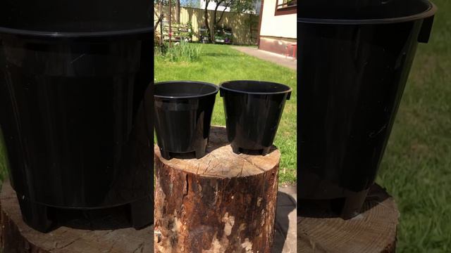 #93. Горшки с подвохом