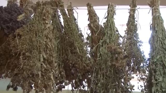 Смысл паломничества версия -03 2020