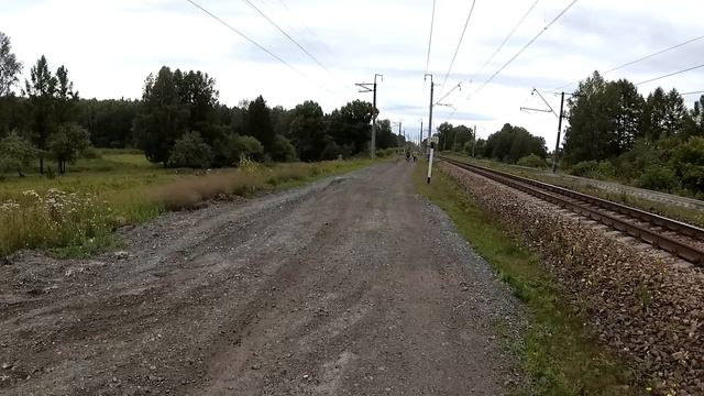 #9. Три дня в поисках шмурдяка. Копаю водочные пробки, радуюсь происходящему