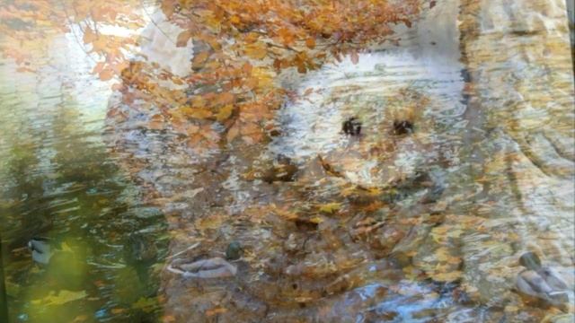 + Не жалею не зову не плачу