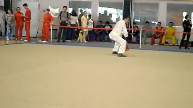 Чемпионат и Первенство Приволжского Федерального округа России 2014 года по ушу