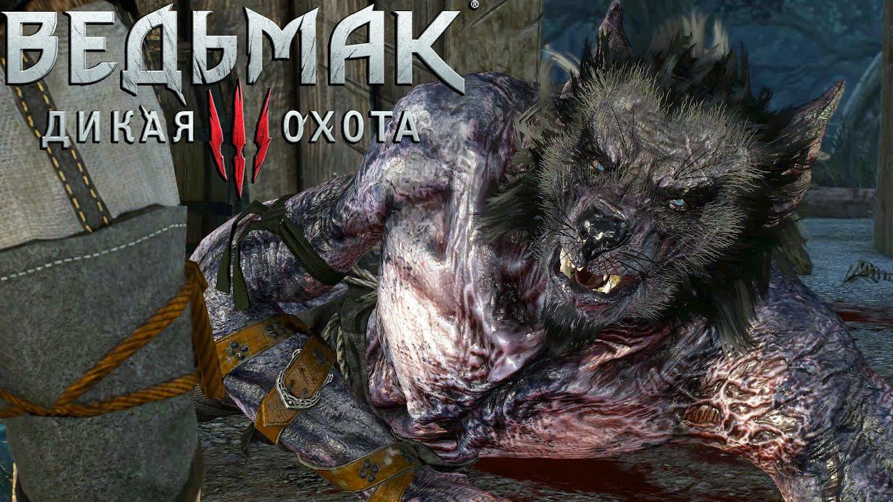Ведьмак 3: Дикая Охота - В Волчьей Шкуре // Прохождение ▶ #14
