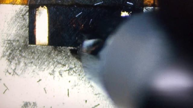 Macbook Pro Flexgate Cable Protective Coating Removal My Process For A Clean Soldering Surface Area