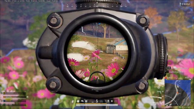 Шальная ака пулька императрица