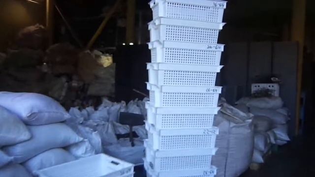 Ящик овощной (усиленный) - презентация