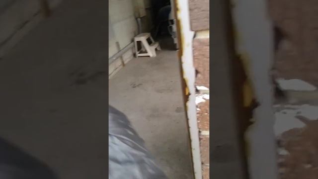 Location Of Paint Code On Mercedes-Benz.