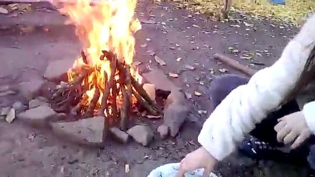 D8ec95dde2897066e7dca6076ef61e8d