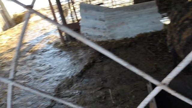 99b83e84f150a3c54aef4f7d993656ee