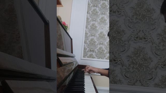 Турецкий марш.       Л.В. БЕТХОВЕН