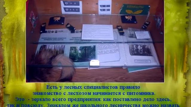 Лес   наше богатство