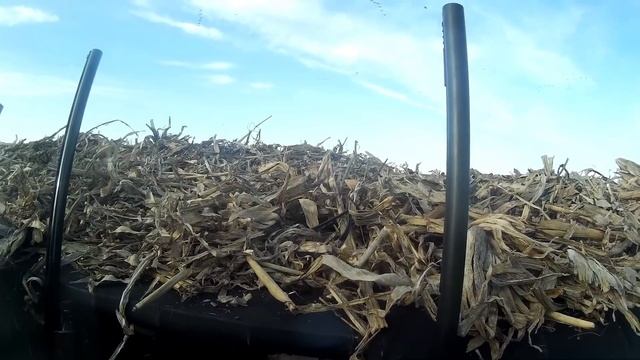 Охота на гуся в Татарстане 2019