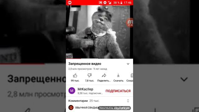 оценка запрещенного видео про Микки Мауса