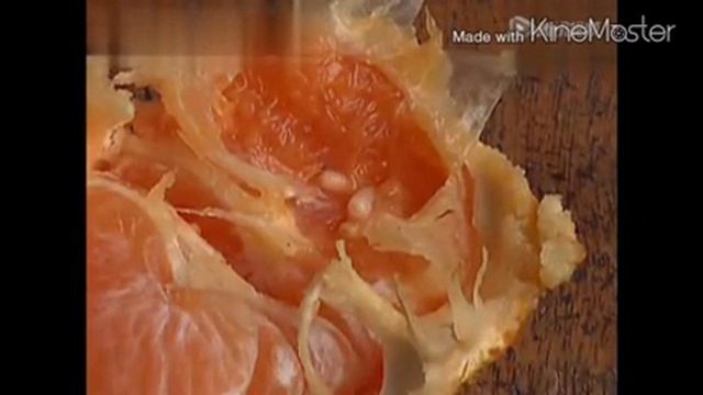 Нельзя кушать апельсины