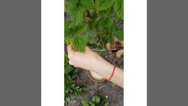 1d1d8fab00c3eb1b2ad7ad6a4a0cc4d0