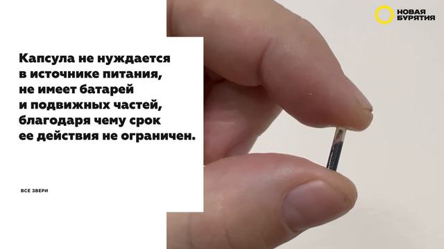 Чипы вместо бирок