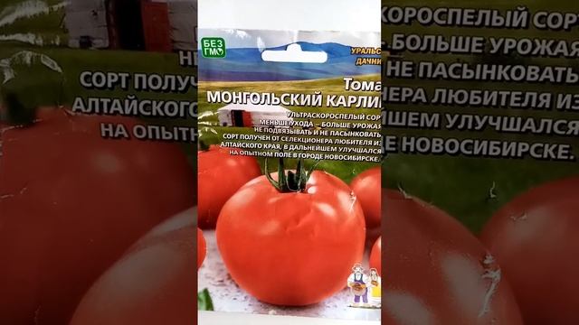 Томаты: чудо-сорта для ленивых - посадил и забыл!