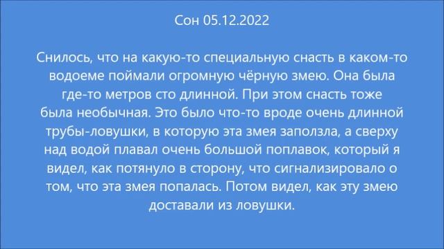 Сон: Огромная чёрная змея (05.12.2022)