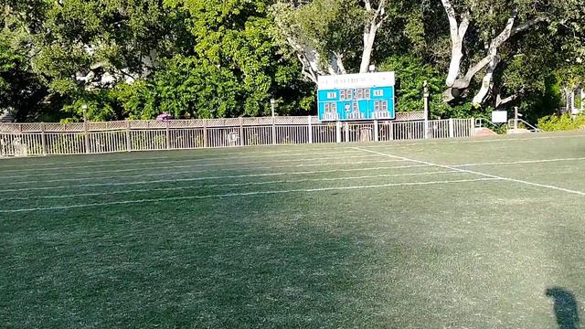 OMP Hobby Micro RC Helicopter M1