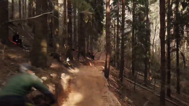 Огород желтый отец
