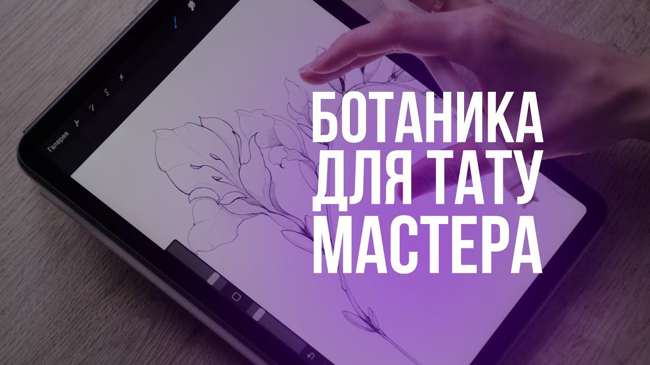 Учимся рисовать цветы для тату-эскиза. Фрезии #тату #рисунок #обучение #tattooprocess #art
